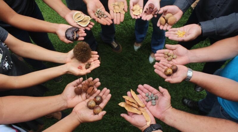 Ruraltins e parceiros promovem Seminário de Agroecologia nesta quinta-feira