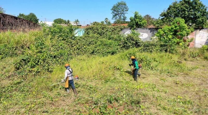 Donos de lotes baldios em AraguaÃna são notificados a manter terreno limpo para evitar queimadas