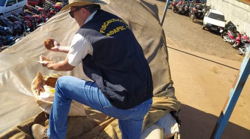 Adapec apreende 10 toneladas de sementes de capim irregular próximo a Araguaína