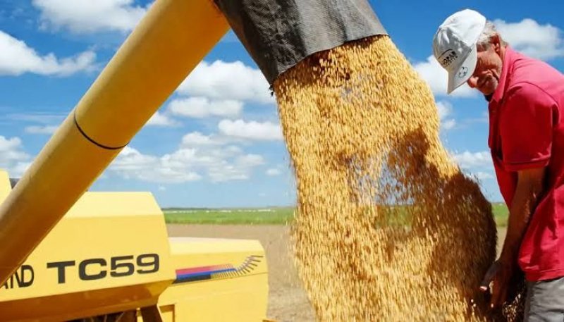 Após pressão do agronegócio, Wanderlei recua e retira da Assembleia projeto do Zoneamento Ecológico-Econômico