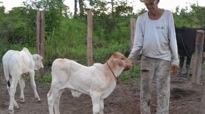Um ano após desaparecimento de idoso no Parque no TO, família cobra respostas: ?não tivemos resposta?