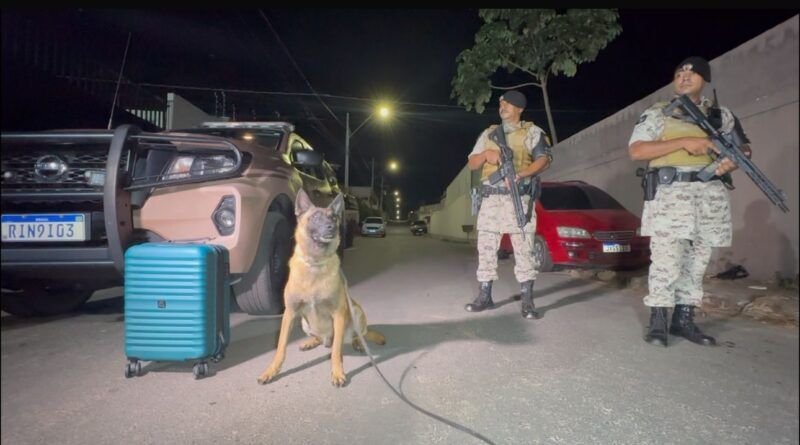 Com ajuda de cão farejador, PM apreende submetralhadora em rodoviária de Araguaína e prende jovem de 19 anos