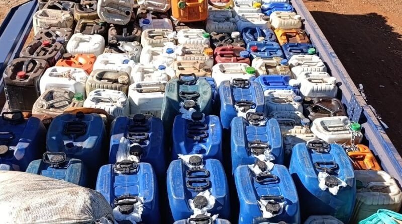 Polícia Civil do Tocantins prende quatro e desarticula esquema de furto de gado e venda clandestina de combustíveis