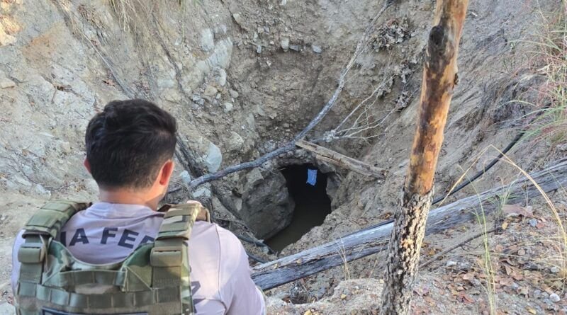 PF deflagra Operação Breque II contra garimpo ilegal de ouro no  Tocantins