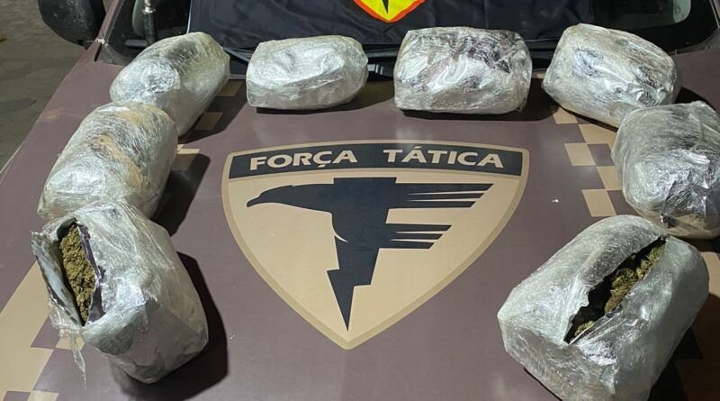 Ação policial no TO tem perseguição no meio do mato e mais de 4kg de super maconha apreendidos