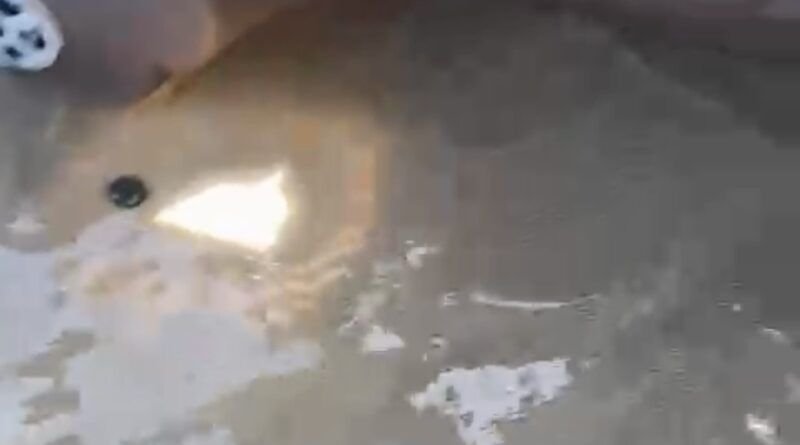 Deputados enfrentam perrengue em barco que encheu d?água, no Lago de Palmas,  rumo à Agrotins